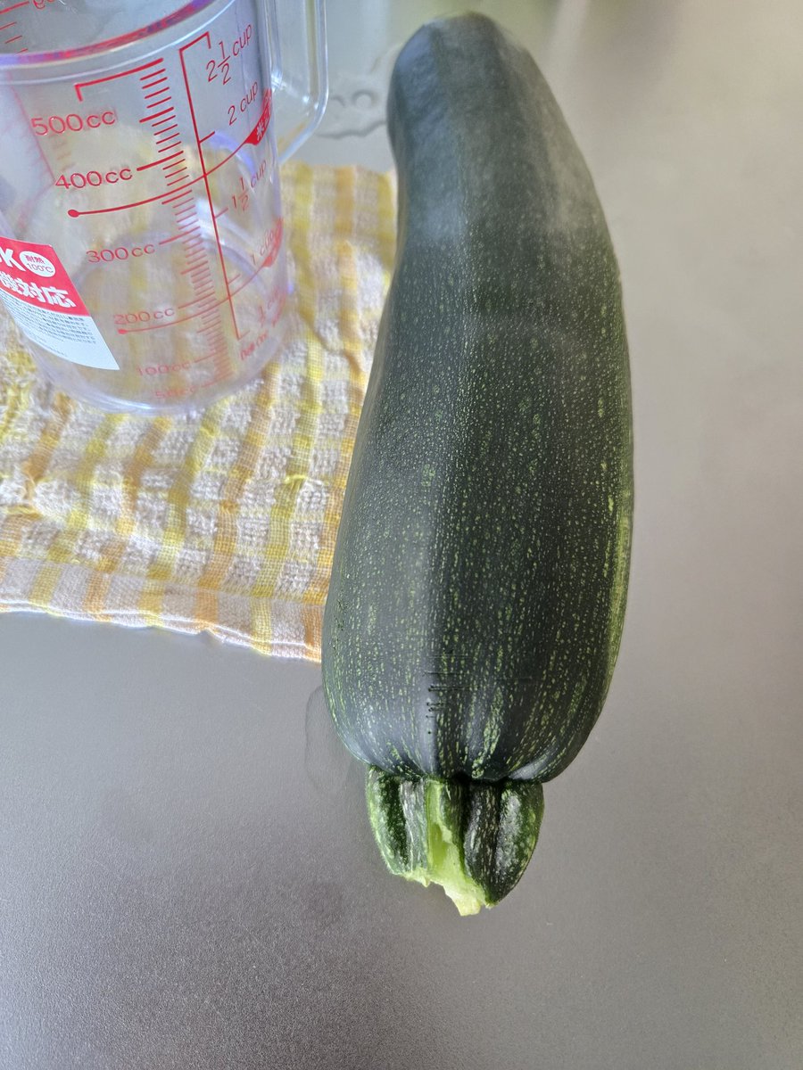 touyaXmtk's tweet image. ところで、クソでかズッキーニが採れたんだが