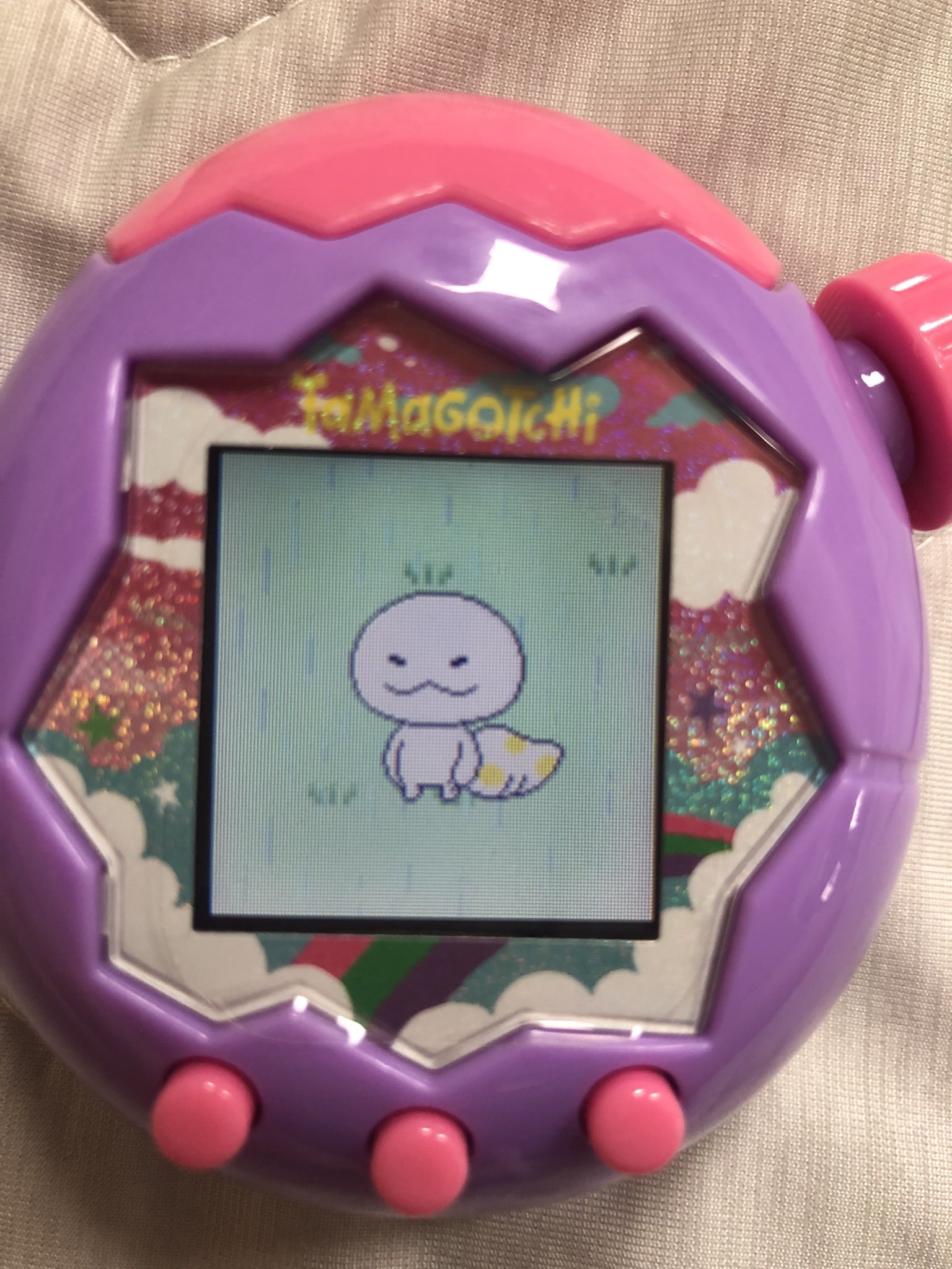 チャッピー様オーダー Violette バイオレット オーバルサングラス - テンダーシェル
