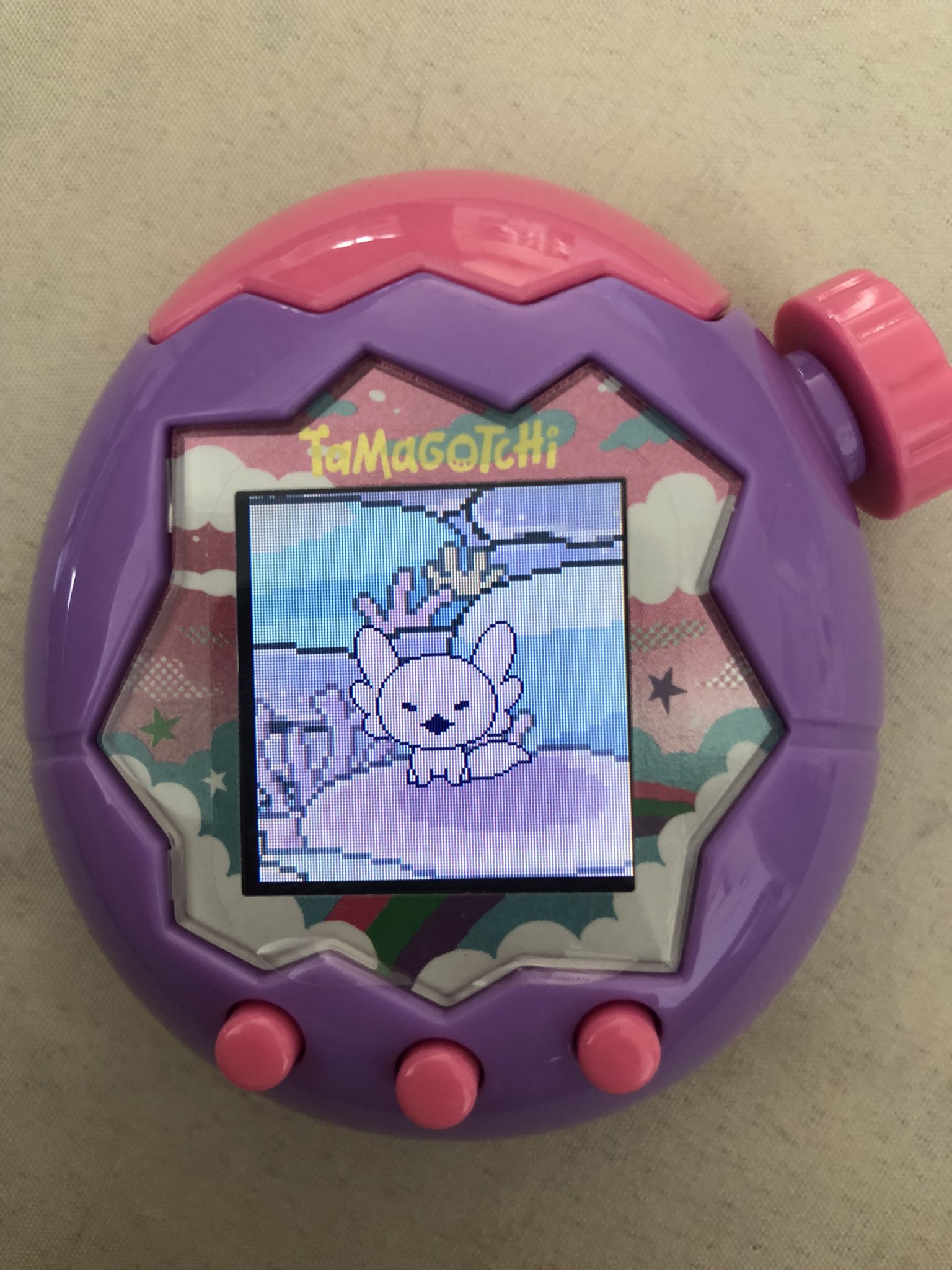 チャッピー様オーダー Violette バイオレット オーバルサングラス - テンダーシェル