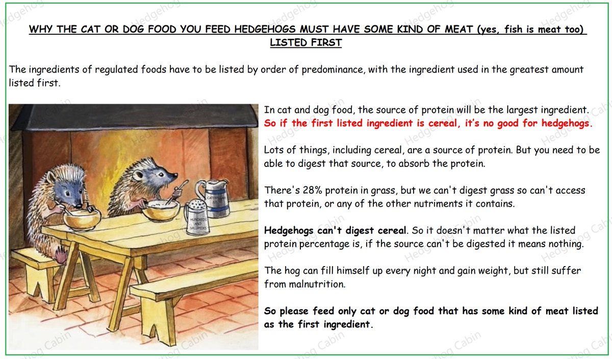 HedgehogCabin's tweet image. Aw, good for him, that's lovely. It's good kind people like your uncle that will save this species.
He probably knows, but it never hurts to say, as there is so much misinformation around - cat or dog food is the only safe food for hedgehogs. 
Any type or flavour, as long as meat…