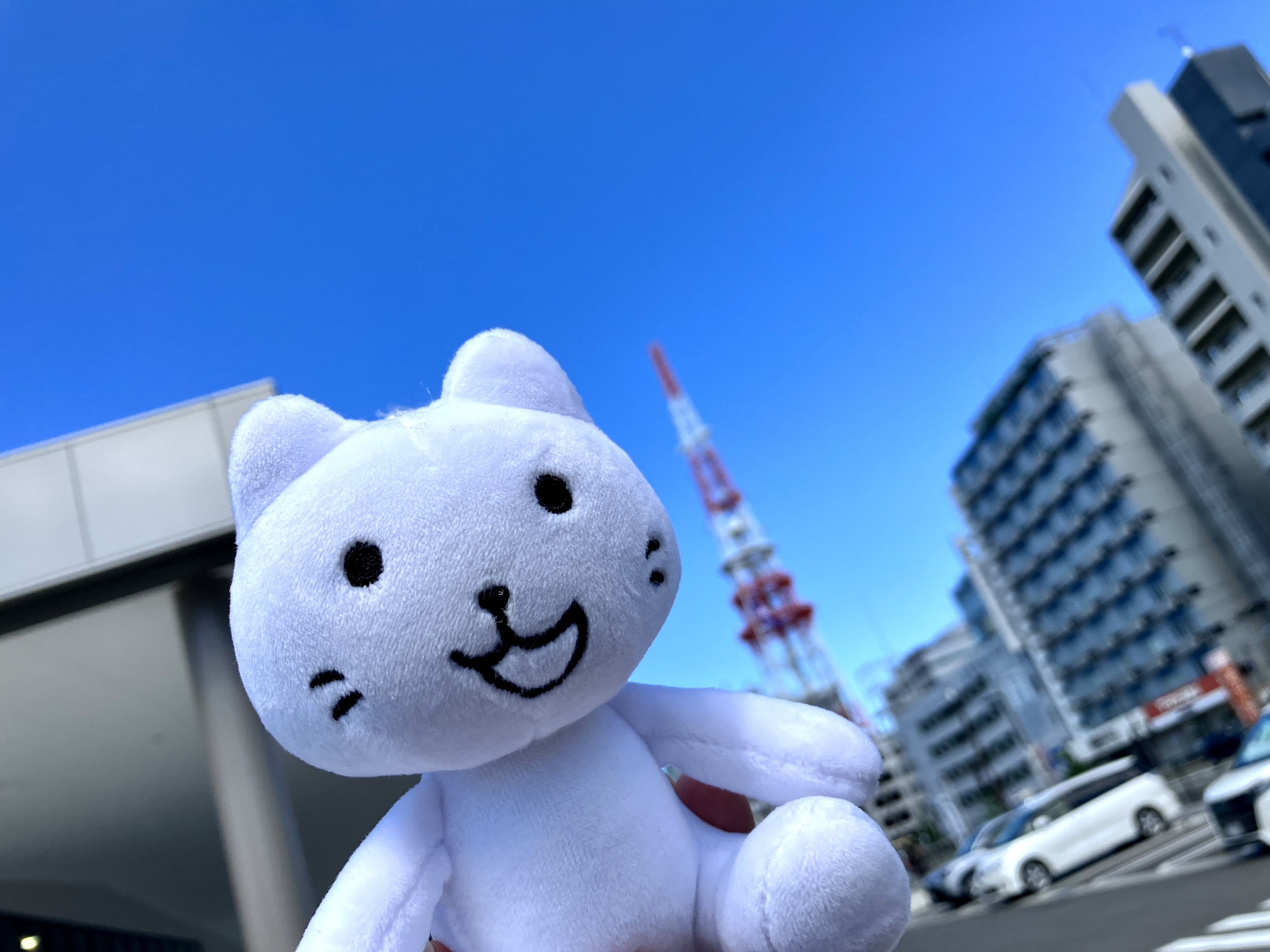 nekko1127@猫飼ってます 　379 こうた🐍 on X: 