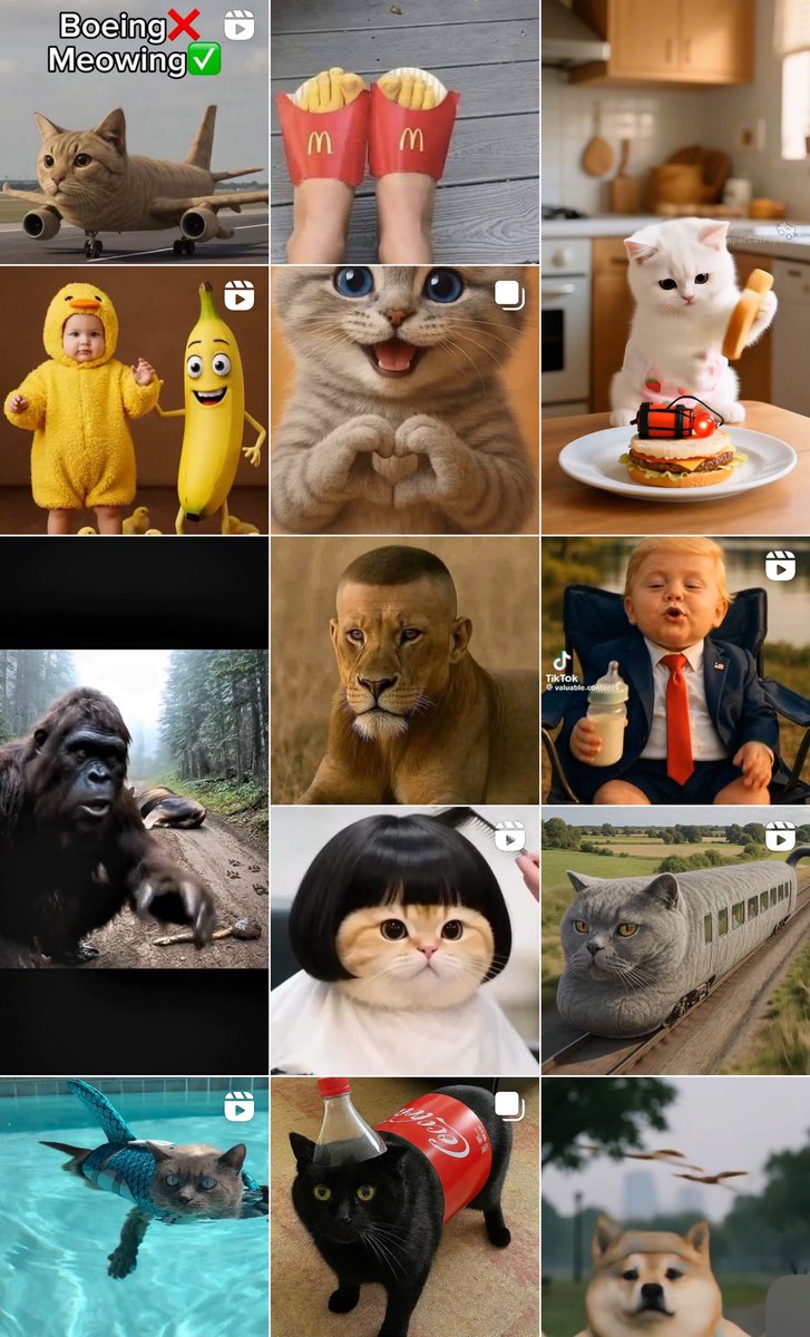jessalanfields's tweet image. On the rare occasion I log into Instagram, I am reminded why I don’t.