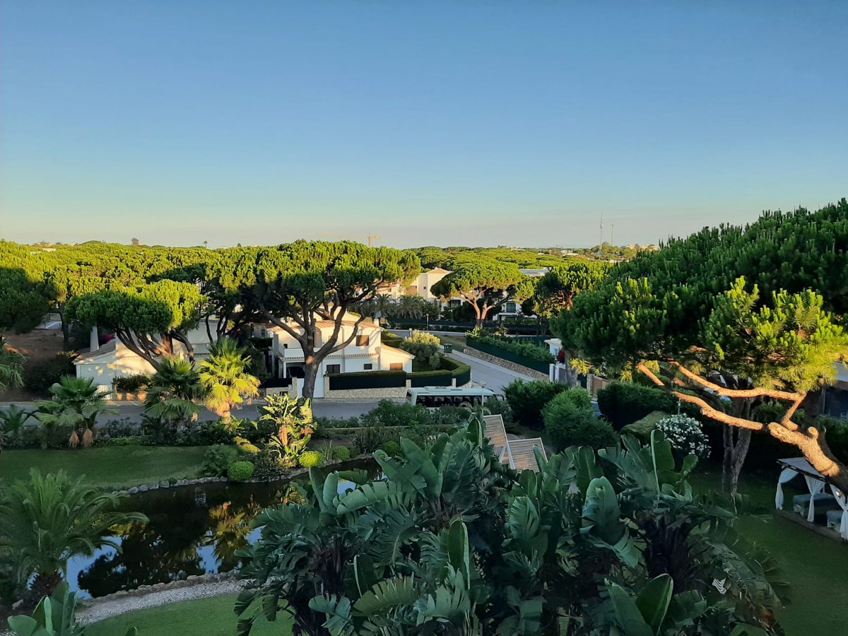 Trev Pearton tweet media