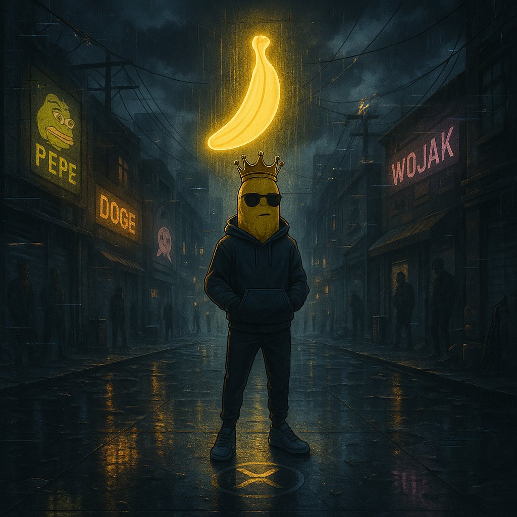 bananaXRPL's tweet image. GN from the XRPL underground. 🍌👑

Tomorrow, the ledger takes more territory as we embrace the Monday pump &amp;amp; witness the start of the meme run.

$BANANA | Built on #XRP | BananaXRP.com