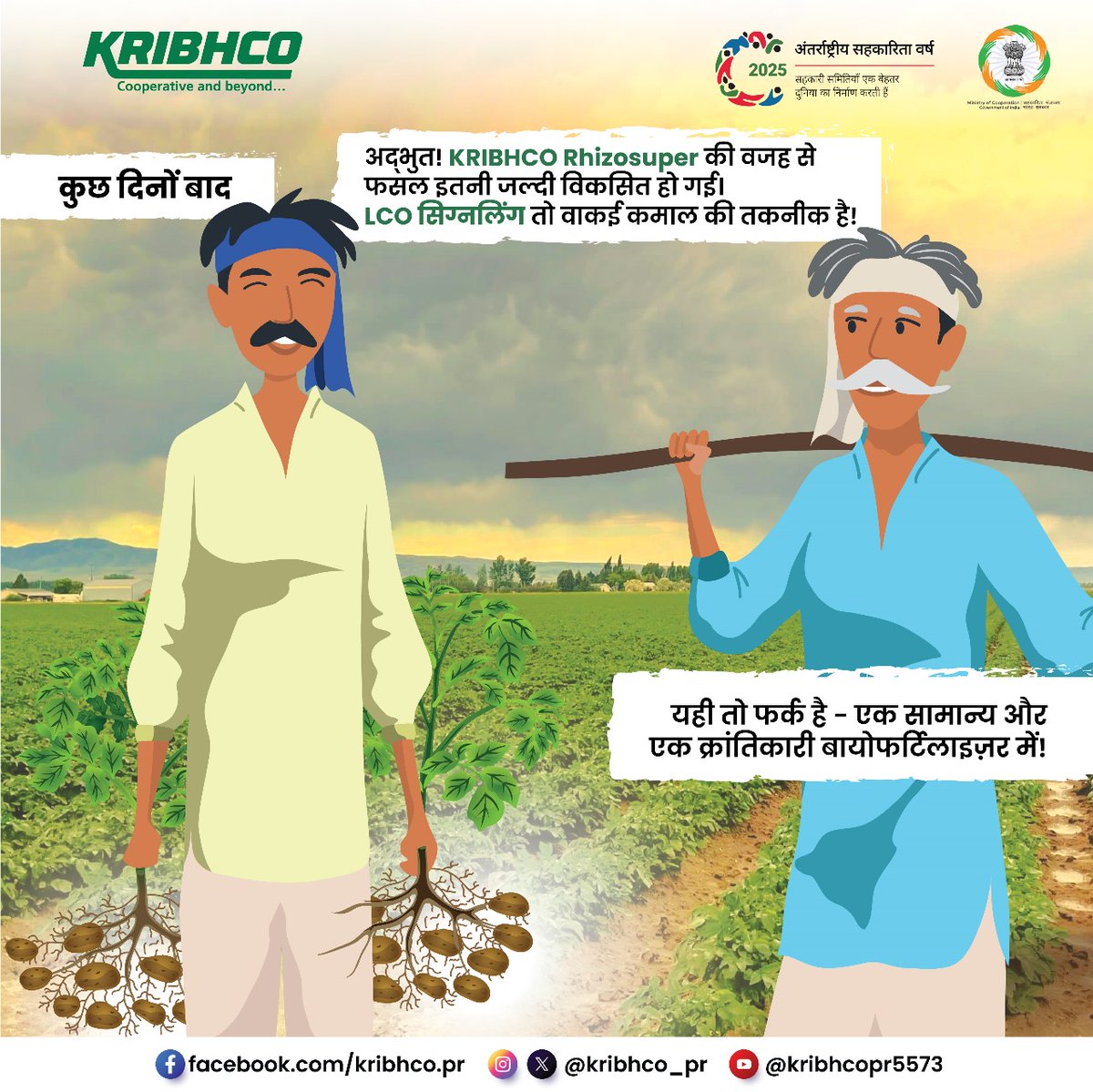 KRIBHCO_PR's tweet image. अच्छे बीज लगाने के बावजूद फसल कमज़ोर दिख रही है?
तो समस्या जड़ों में हो सकती है।
KRIBHCO Rhizosuper की LCO सिग्नलिंग तकनीक लाभकारी माइकोराइजा को जल्दी सक्रिय करती है, जिससे जड़ें मज़बूत होती हैं, और पौधे मिट्टी से अधिक पोषक तत्व व पानी सोख पाते हैं।
स्वस्थ और लाभकारी खेती के…