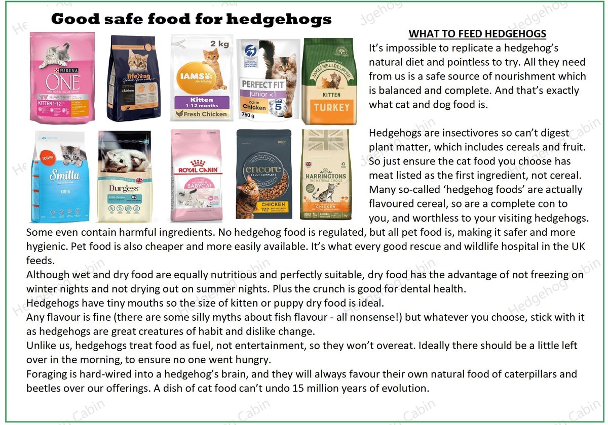 HedgehogCabin's tweet image. Aw, good for him, that's lovely. It's good kind people like your uncle that will save this species.
He probably knows, but it never hurts to say, as there is so much misinformation around - cat or dog food is the only safe food for hedgehogs. 
Any type or flavour, as long as meat…