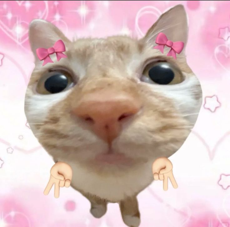 ovilins's tweet image. masuk gaa sengg? bantu like yaa, sfu #zonauang