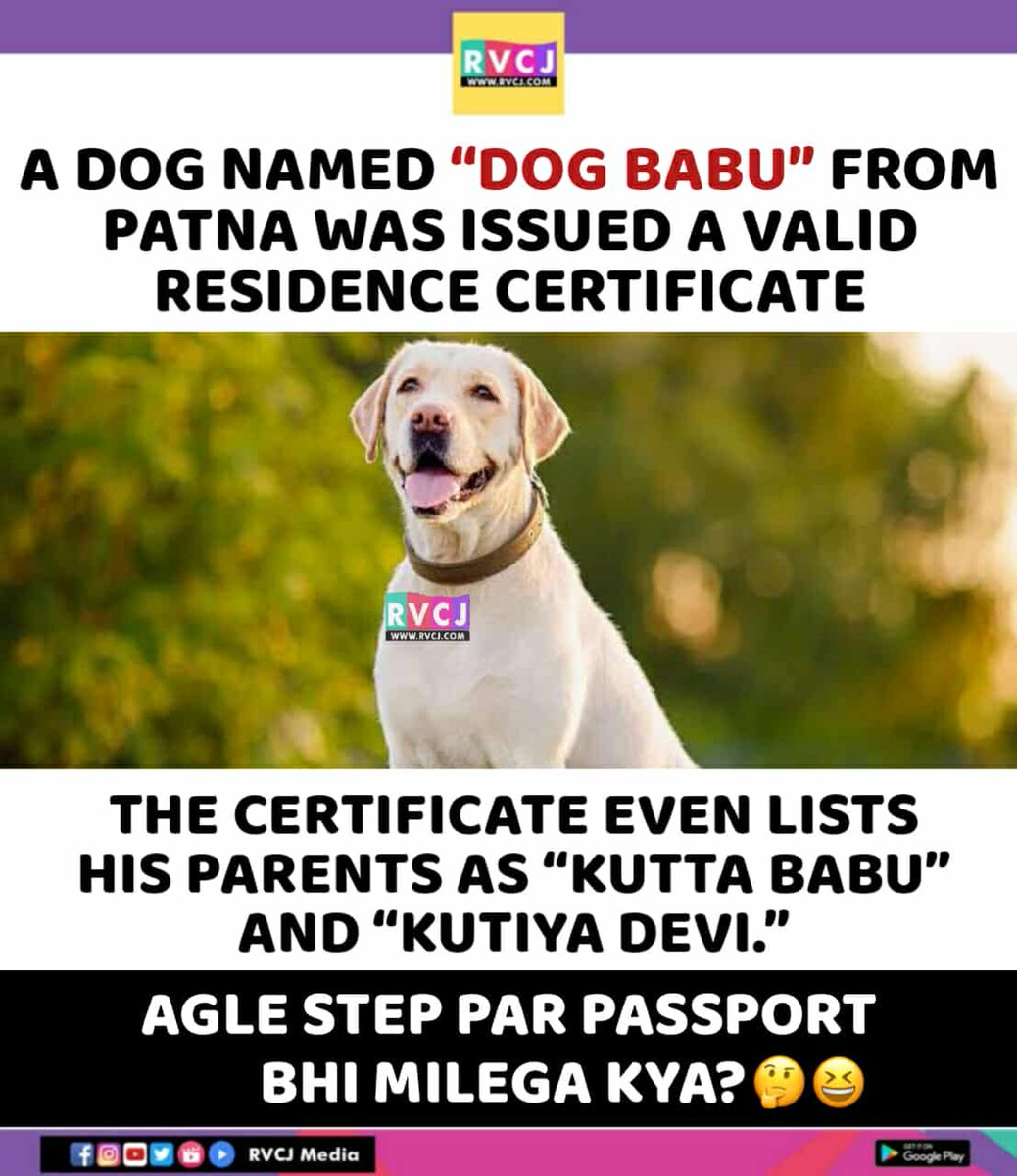 kaoriisays's tweet image. From 20 members to 70 members in 10 minutes.
More and more people hearing about this crazy lore.
First dog with residence
$Babu