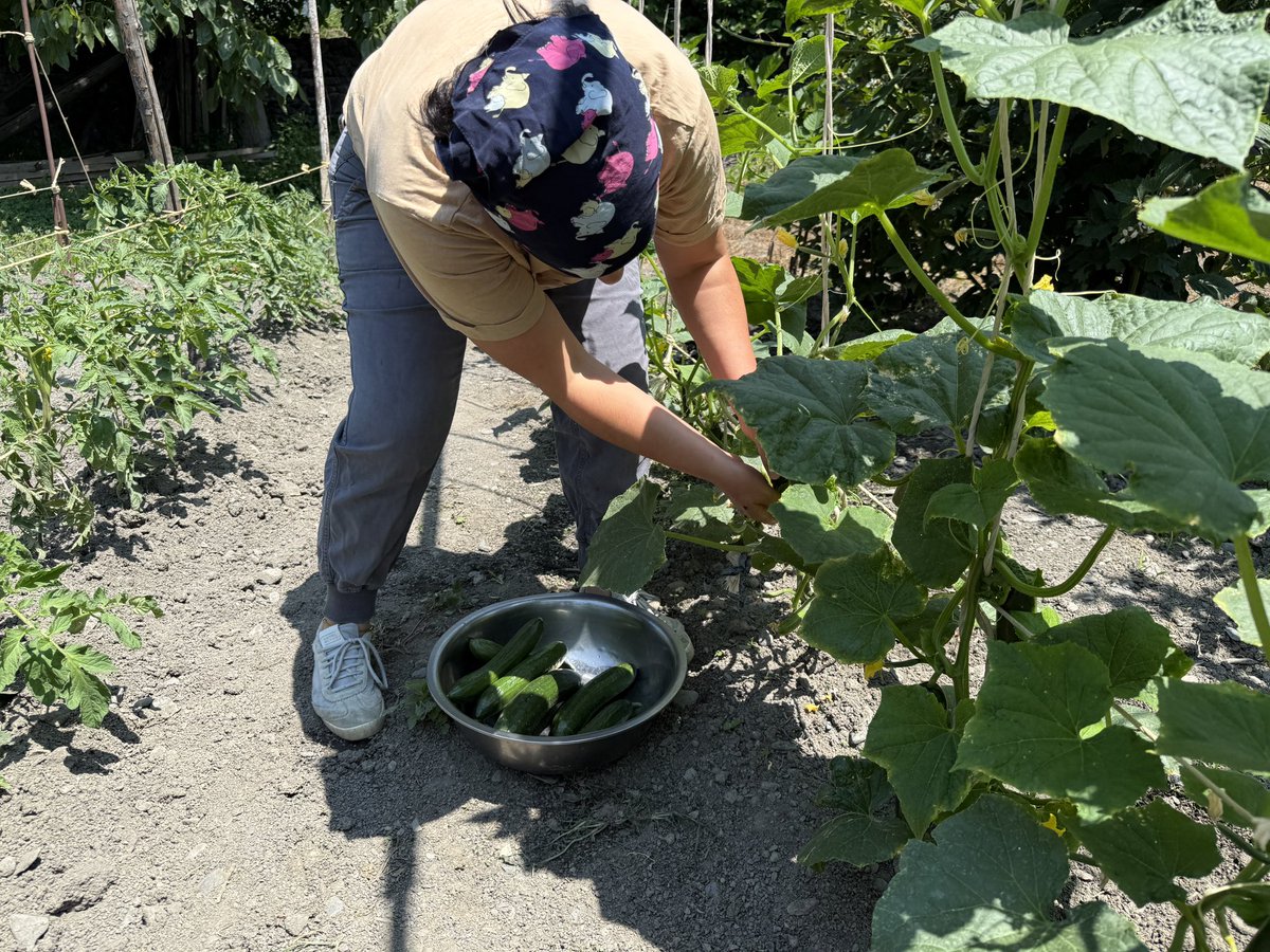 Lovely summer day with a local family, homemade food, and true Georgian hospitality. ☀️🌱🍽️ #hospitability