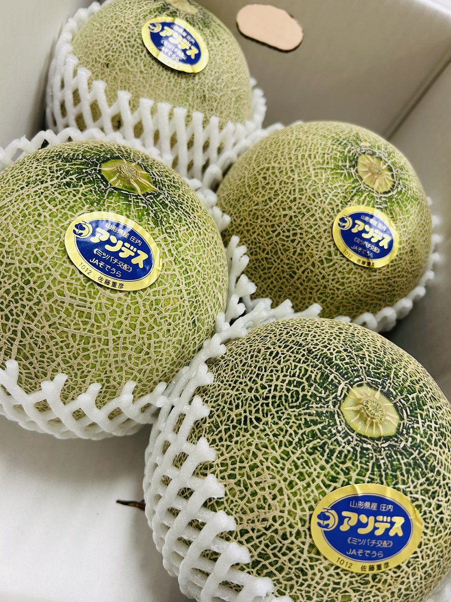 お初さと🍈食べるのが楽しみたなぁ☺️
<a href="/Sato_Ren0079/">さとレン【ΞSMSΞ】</a> さとレン君ありがとね✋
 #さとメロン