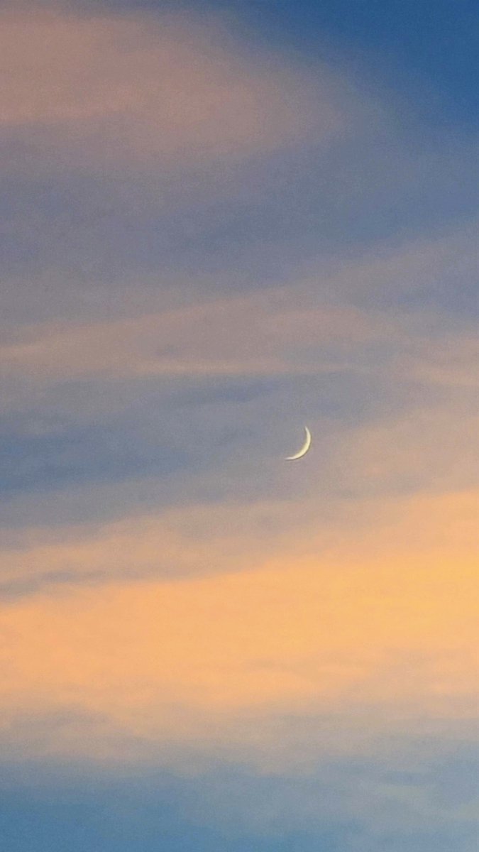 tohi104desu1's tweet image. 夕焼け雲の中に三日月