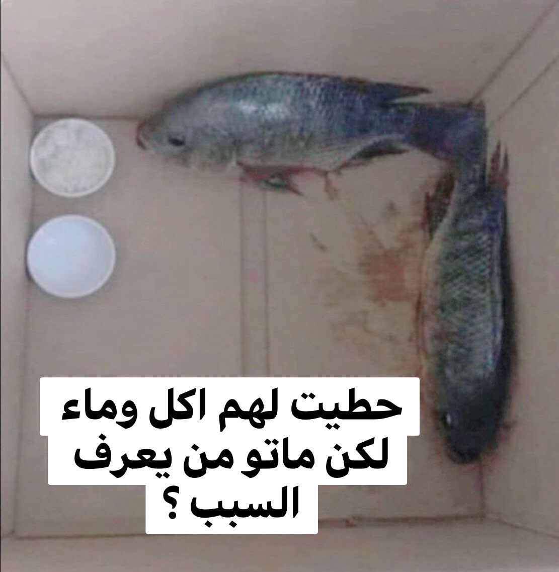 وش السبب ؟ 🤔