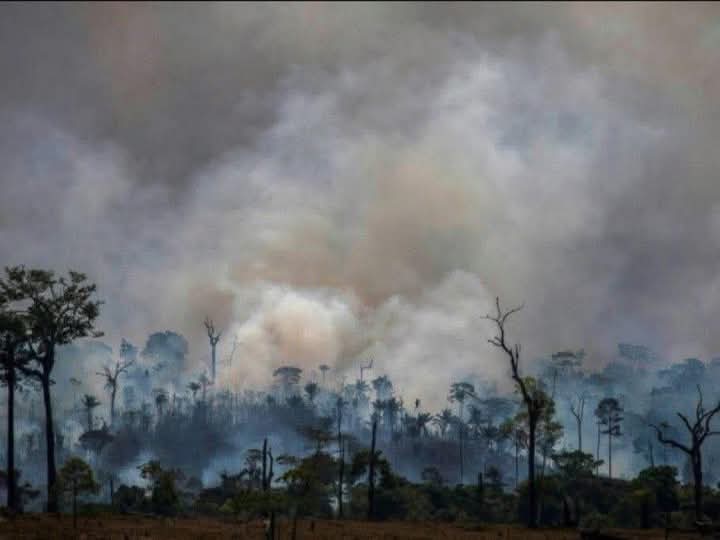 PSophearithik's tweet photo. 🫵🇹🇭❌Thailand used toxic fumes on its territoryCambodia has severely affected the lives of Cambodian citizens. This is a genocide against humanity and a violation of international law.
Siam are cheap. https://t.co/OiZNVvhjMj