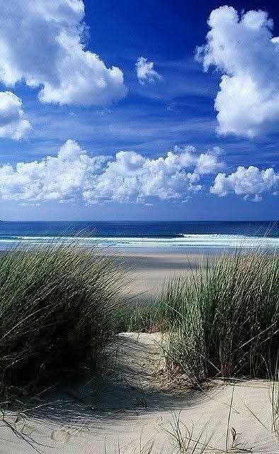 SimonaMascaro64's tweet image. If the sight of blue skies fills you with joy, if things
simple of nature have a message that you understand,
Rejoice, because your soul is alive. ___
Eleonora Duse
#GoodMorning
#28luglio