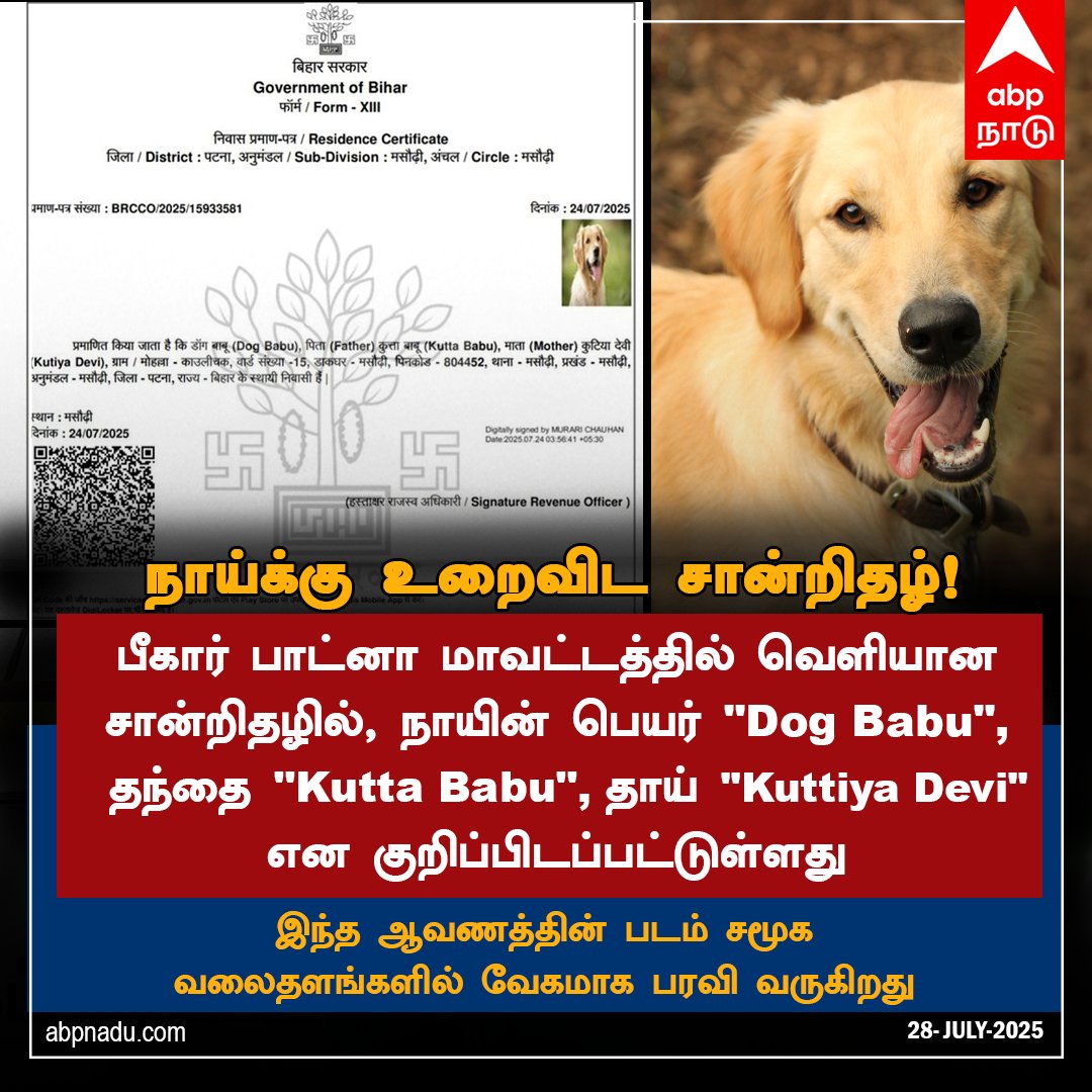 abpnadu's tweet image. நாய்க்கு உறைவிட சான்றிதழ்
#Bihar #patna #circleofficer #issued #residencecertificateofdog #ABPNadu