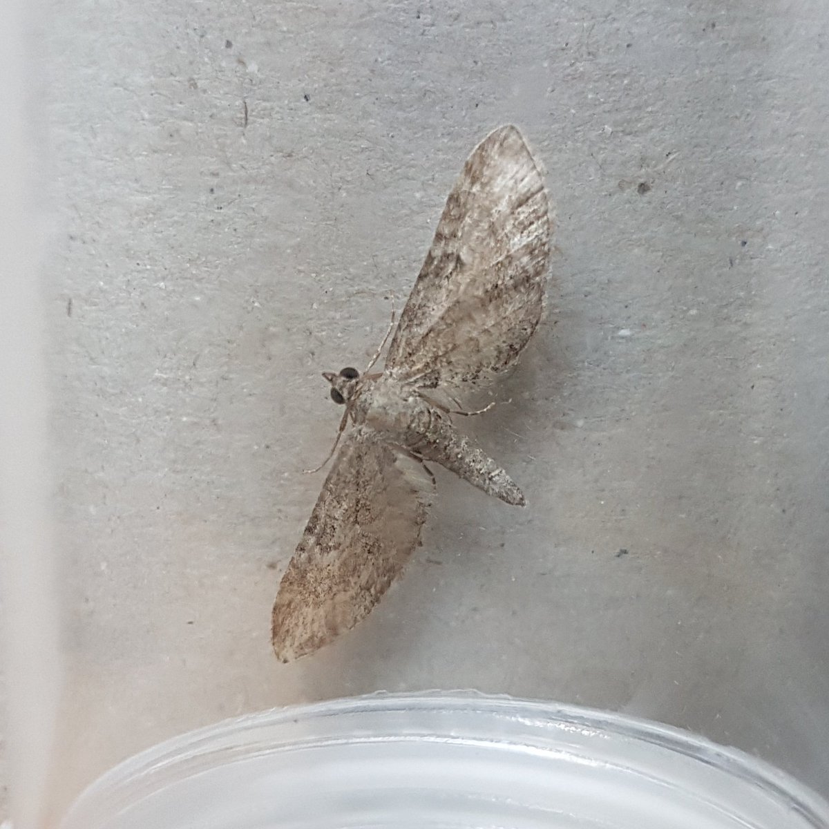 Mark Andrews tweet media