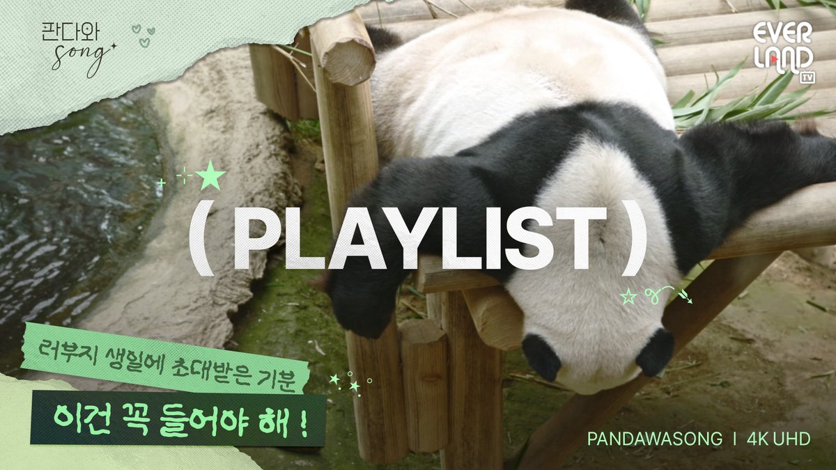 withEverland's tweet image. 오늘 주인공은 러바오🎉
잔잔한 음악에 귀여움까지 더하면? 완벽한 생일 힐링🎂🎧
월요일 텐션 업 시켜줄
러부지 생일플리 지금 들어보쏭🐼🎶
링크 타고 생일파티 하러오쏭~
👉 youtu.be/Z_yWQcJ3OHY