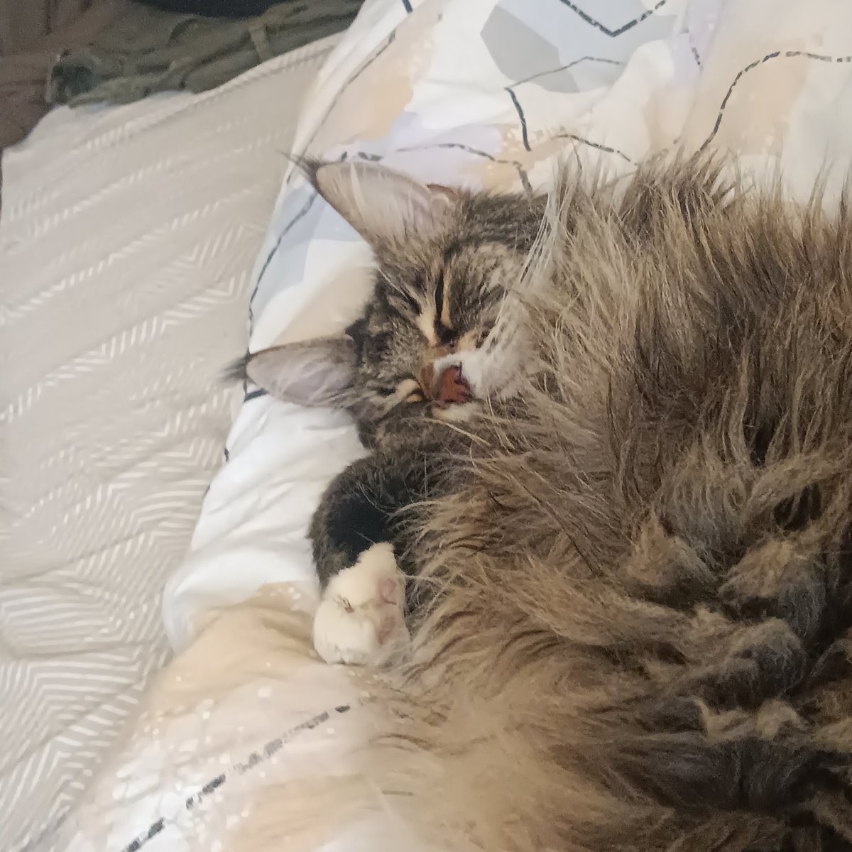 gerxinski's tweet image. My precious little boy