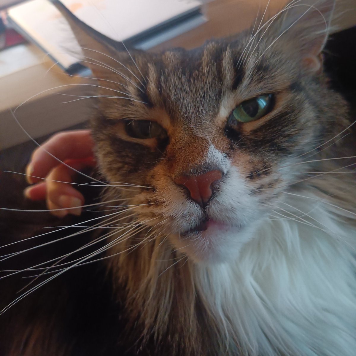 gerxinski's tweet image. My precious little boy