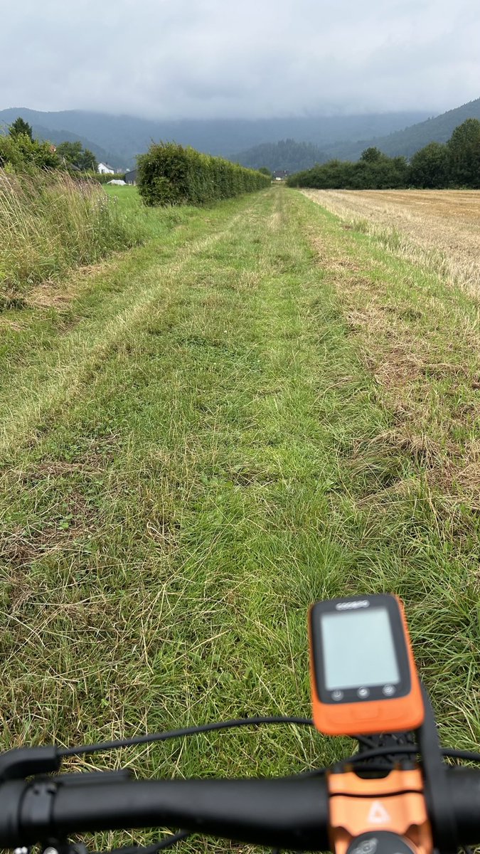 EV_Charged_Blog's tweet image. Haven’t done it for a long while when visiting Europe. Missed it a lot!