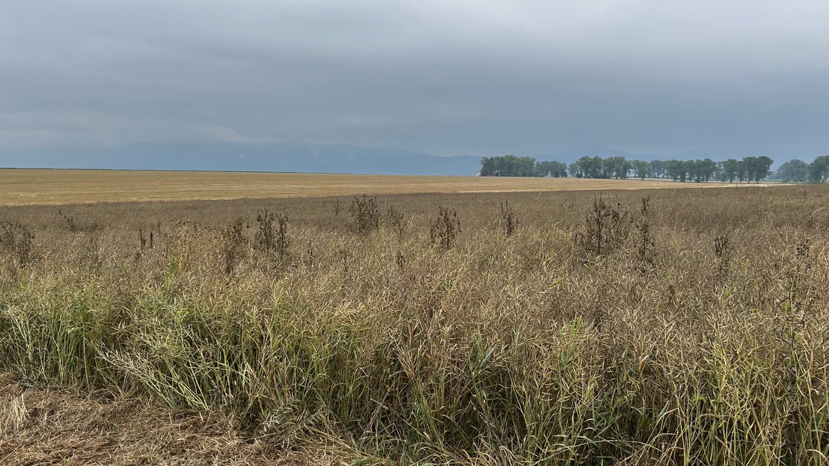 Haven’t done it for a long while when visiting Europe. Missed it a lot!