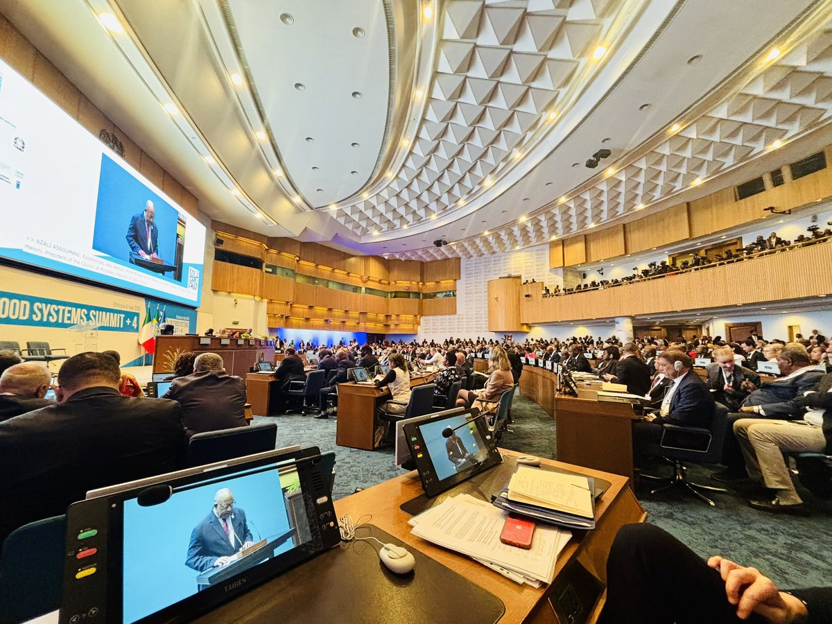 gherrera_c's tweet image. 🌍| With the firm commitment to contribute to the achievement of the #2030Agenda for Sustainable Development, on behalf of @SELAInforma, I am participating in the Second United Nations Food Systems
Summit Stocktaking Moment (UNFSS+4) #UNFSS2025 🇺🇳

 🌎| Con el firme compromiso de…