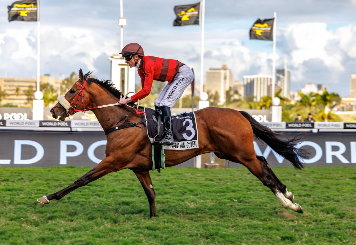To train a G1 winner for Henk Leyenaar, more than 20 years after the great Ipi Tombe, was truly special. dekockracing.com/news/62537/gra…
