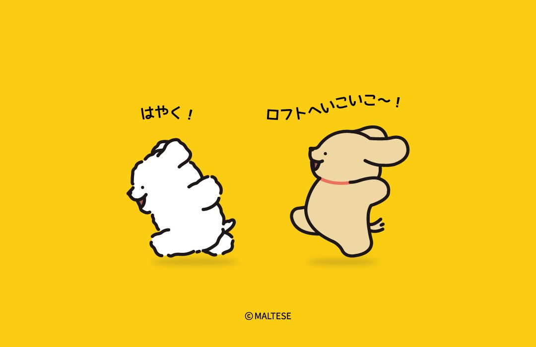 🤍💛🤎