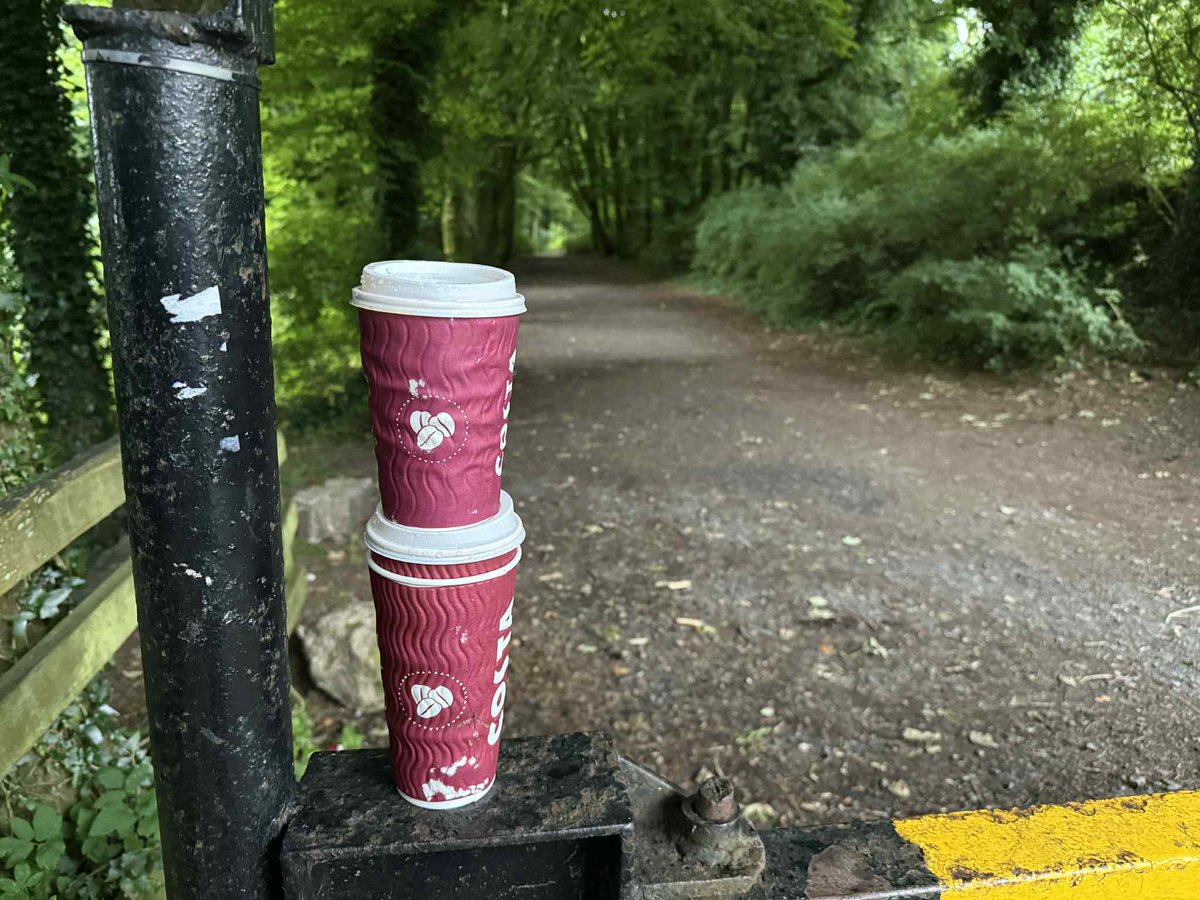 SavetheHellfire's tweet image. 🚫☕ Shame on the couple who left their coffee cups behind in Massy's Wood. This wonderful place deserves respect—not rubbish. If you bring it in, take it out. Leave no trace. 🌲🌍 #RespectNature #LeaveNoTrace #WorldNatureConservationDay