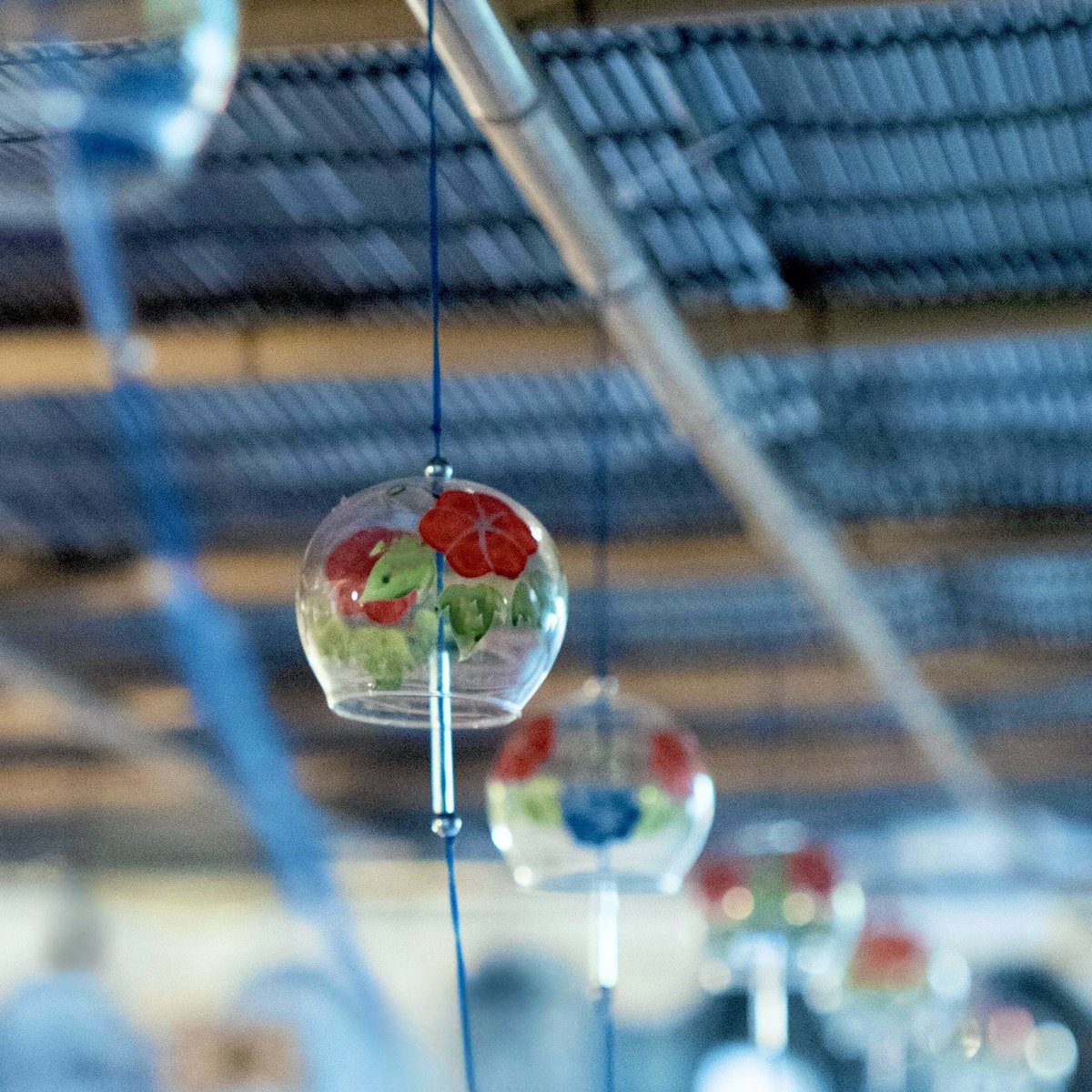 風にゆれて
音がころがる

遠い日の縁側が
ふいに　胸の奥にひらく

冷えた麦茶と
冷えた西瓜

そっと　風鈴の音にまぎれていく夕暮れ

暑さにばてる日々だけど
こうして耳を澄ませば
風にも、音にも
ひとときの涼がある

#風鈴の音 #暑気払い #ヒデローのことば #暮らしの余白