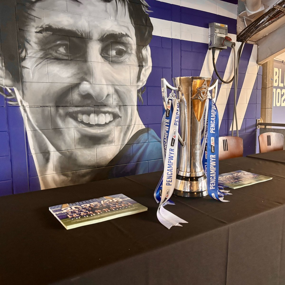 CardiffCityFCW's tweet image. Our #CityWomen squad will be taking photos and signing autographs at 10am today, as part of the #CardiffCity Family Fun Day! 💙

#CityAsOne