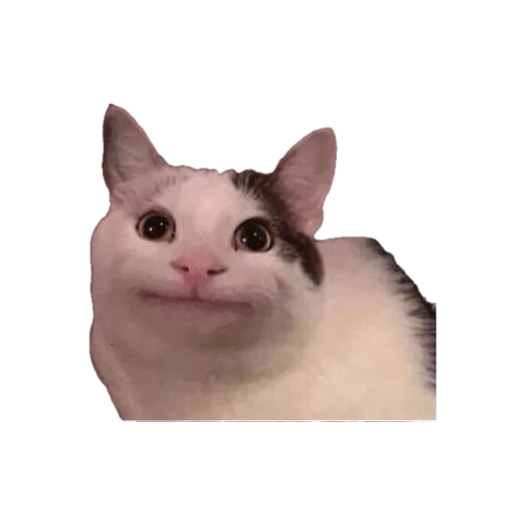 weasleysb1tch's tweet photo. Chat I just started reading that shit I wasn’t kidding about being scared three years ago. Ok bye again 🤗 https://t.co/1SlQKqKp5X