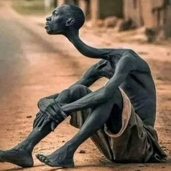 Yallay nawab tweet media