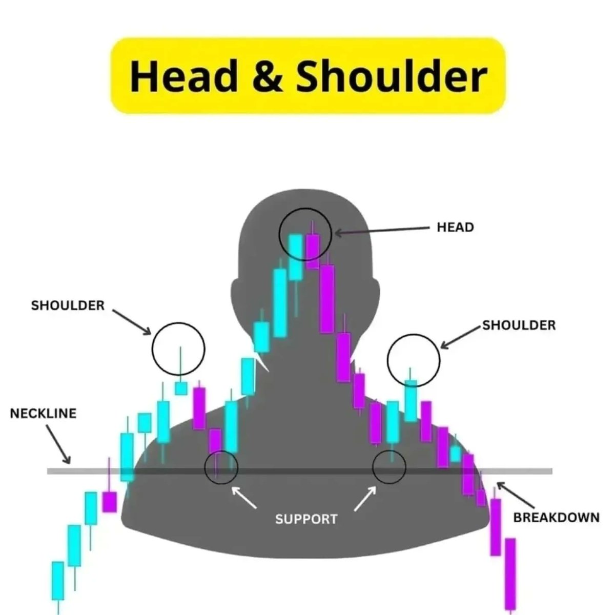 Head &amp; Shoulder