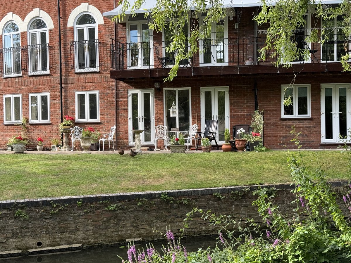 If you work hard, you too can have your dream home by the river…
#MallardMonday (there are two there, honest!)