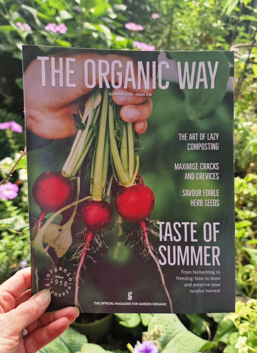 Garden Organic (@gardenorganicuk) on Twitter photo Food growing & healthy harvests are at the heart of the summer issue of 'The Organic Way'. Tuck in to delicious features on gluts, edible seeds, and #fermenting your harvest with <a href="/dethample/">Rachel de Thample</a>. Not a member? Head to gardenorganic.org.uk/join to find out how to get hold of your copy! Food growing & healthy harvests are at the heart of the summer issue of 'The Organic Way'. Tuck in to delicious features on gluts, edible seeds, and #fermenting your harvest with <a href="/dethample/">Rachel de Thample</a>. Not a member? Head to gardenorganic.org.uk/join to find out how to get hold of your copy!