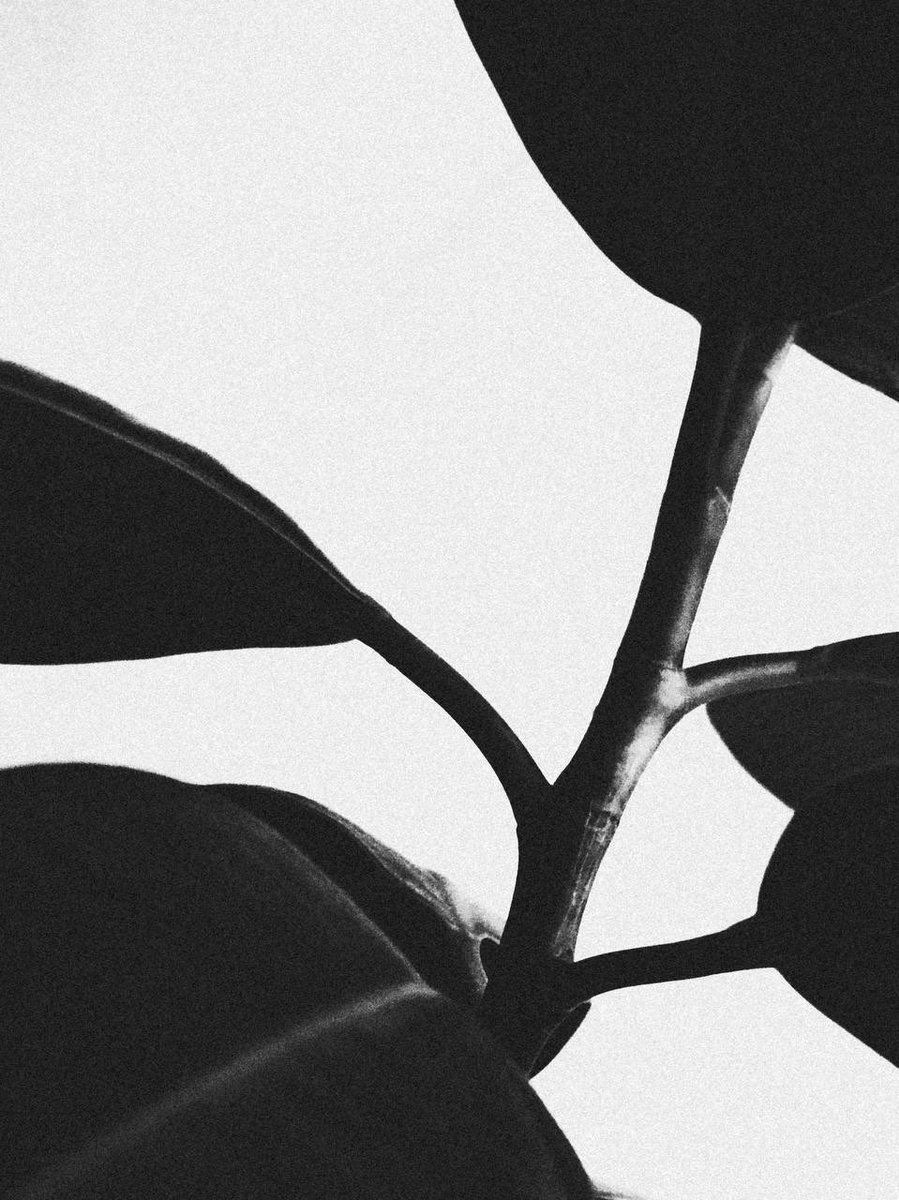 Good morning, fam 🖤