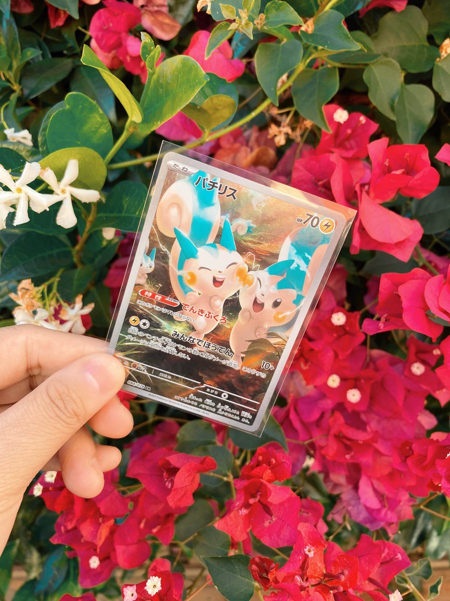 day 12 of posting my favorite pokémon cards in my collection ⸜(｡˃ ᵕ ˂ )⸝♡

pachirisu from violet ex looks like they're having the best day ever! i love how their cheeks make a heart :3 .⋆𐙚 ̊.

happy monday!☀️

#Pokemon #PokemonTCG #Pachirisu
