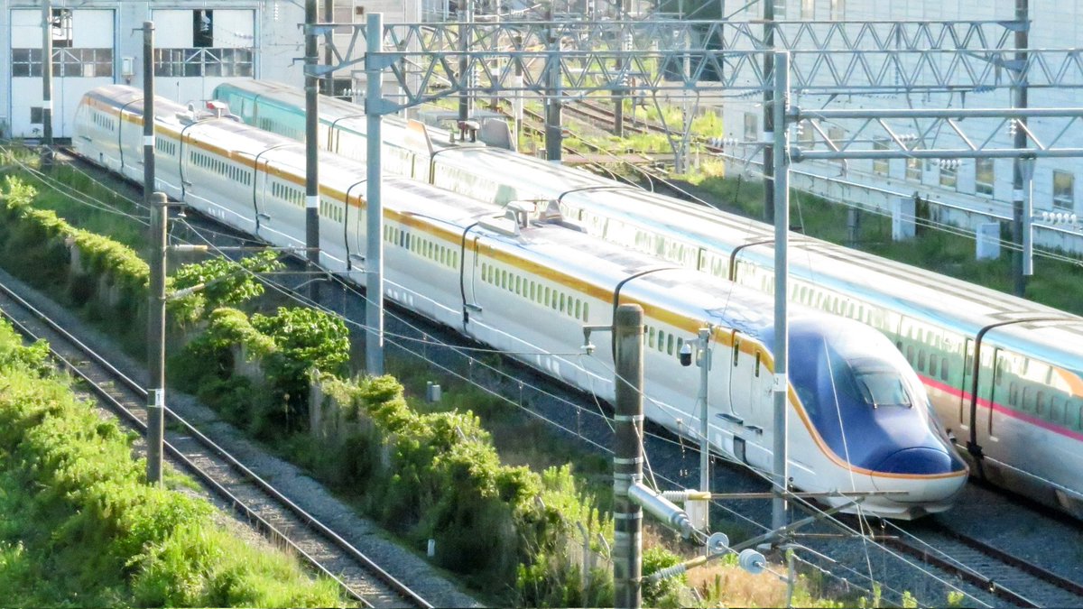 getureigo's tweet image. E8系11編成～13編成が揃い踏み
(13は車庫内)