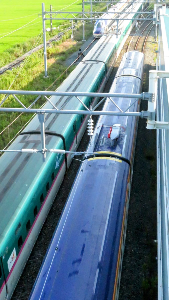 getureigo's tweet image. E8系11編成～13編成が揃い踏み
(13は車庫内)