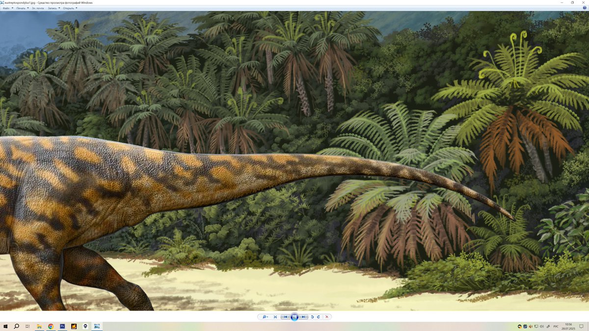 Sergey Krasovskiy tweet media