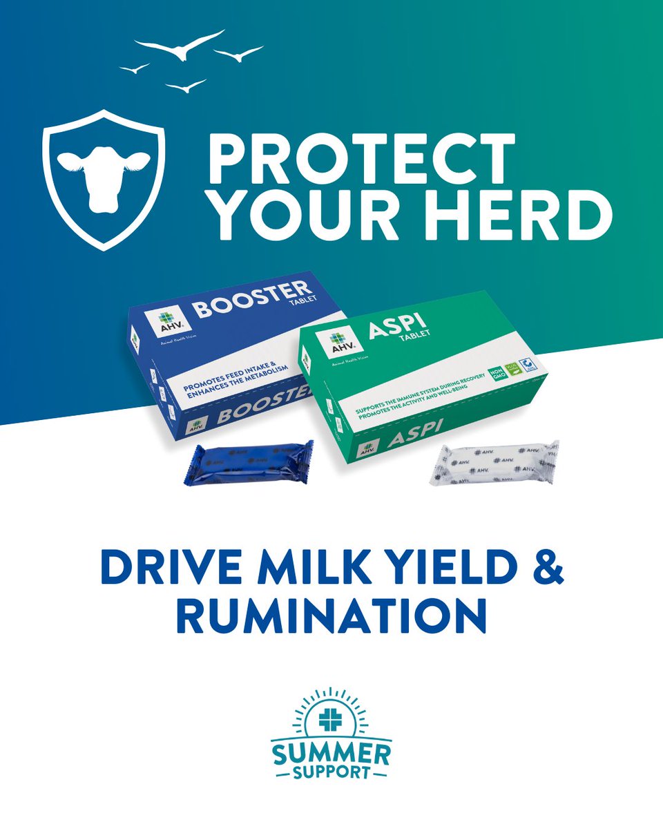 AHVint's tweet image. 𝐒𝐮𝐦𝐦𝐞𝐫 𝐇𝐞𝐚𝐭 𝐁𝐫𝐢𝐧𝐠𝐬 𝐕𝐢𝐫𝐚𝐥 𝐑𝐢𝐬𝐤𝐬 – 𝐀𝐫𝐞 𝐘𝐨𝐮 𝐏𝐫𝐞𝐩𝐚𝐫𝐞𝐝? 🦠

Get ahead of the viral risks this summer: ahvint.com/viral-support/

#AHV // #SummerSupport // #PowerToTheFarmer