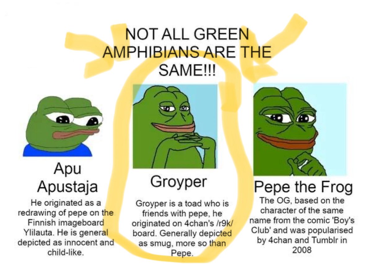 One of these frogs (meme coins) is very very very substantially and incredibly undervalued compared to the other two frogs (meme coins). #groyper