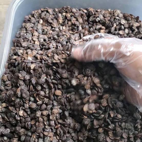 Omo_Oduduwa_1's tweet photo. https://t.co/5e3comBv4Q
#iru
#locustbeans
#ogiri
#iru_pete
#iru_wooro
#Africanfood
#africanstore
#africanrecipe
#nigeriansindiaspora #nigerianfood https://t.co/sIqghDFJ8A
