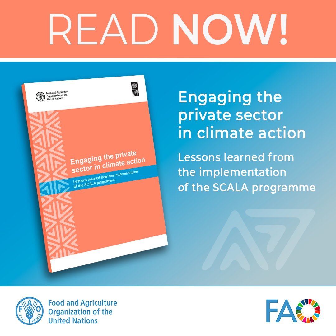 FAOclimate's tweet image. How can the private sector support climate goals in agriculture & land use?
Lessons from 12 countries in the @FAO–@UNDP #SCALAprogramme show how reducing financial, policy & climate risks can turn commitments into real investment & action: 📘 bit.ly/4kIpBd4 @IKI_germany
