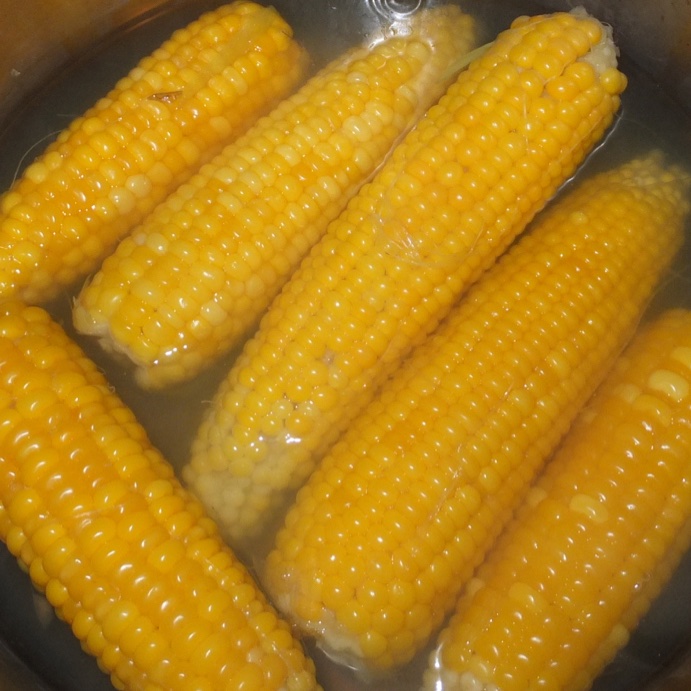 FlowerdewBob's tweet image. sweet corn is ready when tassels have shrivelled & kernels at top of cob full & if squashed 'full of clotted cream', if watery= too early, cheesy= gone over, pick then immediately put in already boiling water for five to ten minutes, no longer!