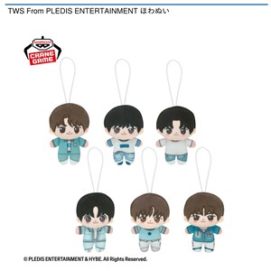 7/31 0時 スタート予定！】 『TWS From PLEDIS ENTERTAINMENT ほわぬい