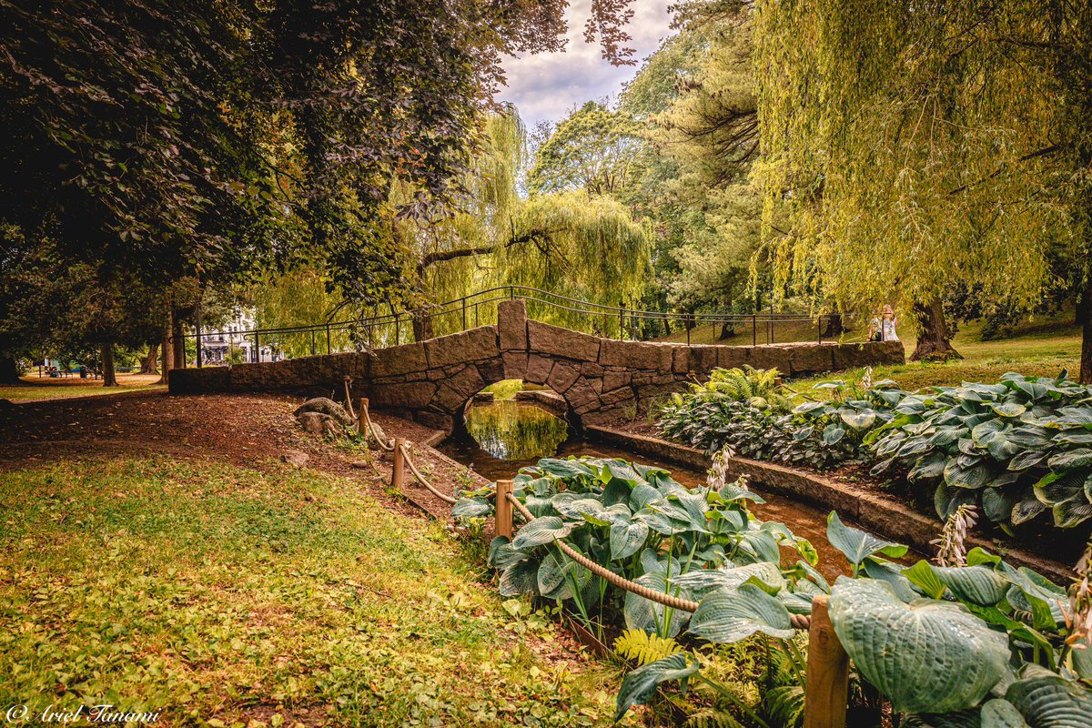 פארק קטן ועירוני באוסלו. 
יש קצת במה לקנא חוץ מהשקט שיש כאן. 
😅 
בוקר טוב #oslo