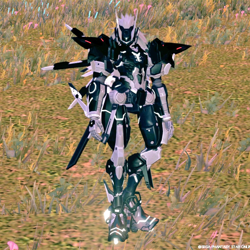 GAI0031's tweet image. 黒いキャストと白いキャスト
#PSO2NSG_SS