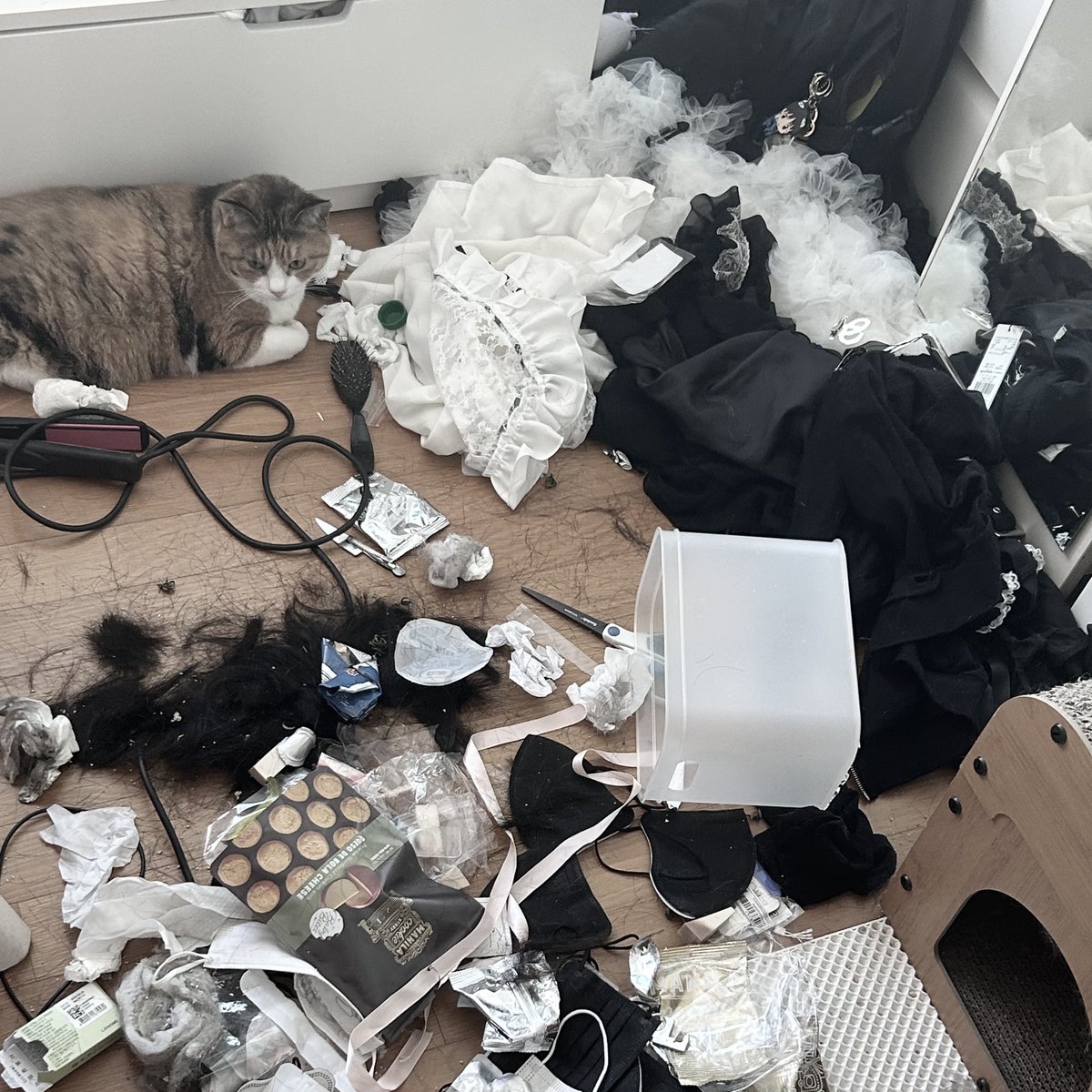 yoanocos's tweet image. 